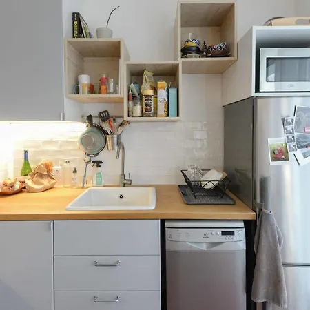 Bright Flat Near Buttes Chaumont Paris